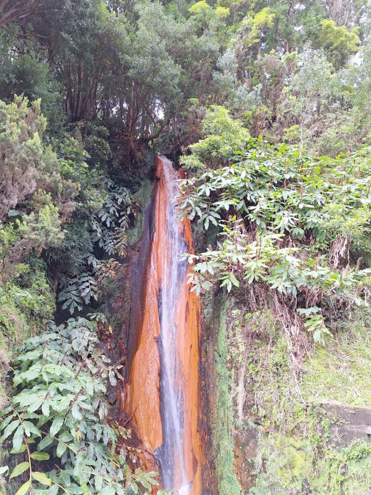 Appartamento A Caminho Da Ilha Ponta Delgada Esterno foto